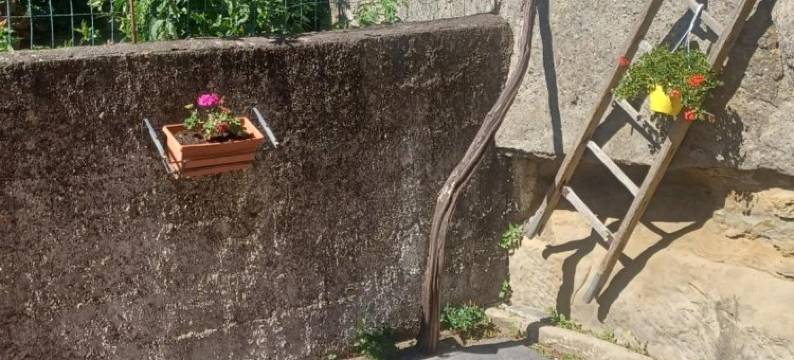 村庄生活民宿(B&B le VIE del Borgo)图片