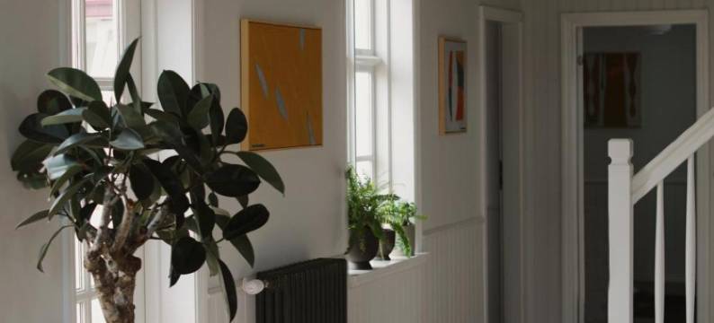 希斯洛旅馆(Hótel Karólína)图片