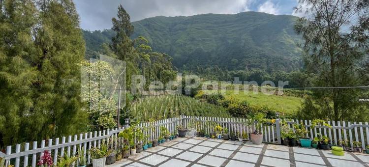 家庭民宿沙丽亚婆罗摩合伙红门酒店(Family Homestay Syariah Bromo Mitra RedDoorz)图片