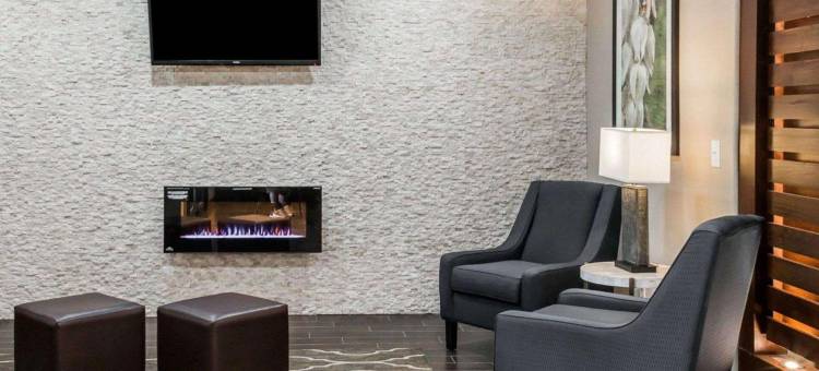 舒适酒店及套房(Comfort Inn & Suites Pharr/McAllen)图片