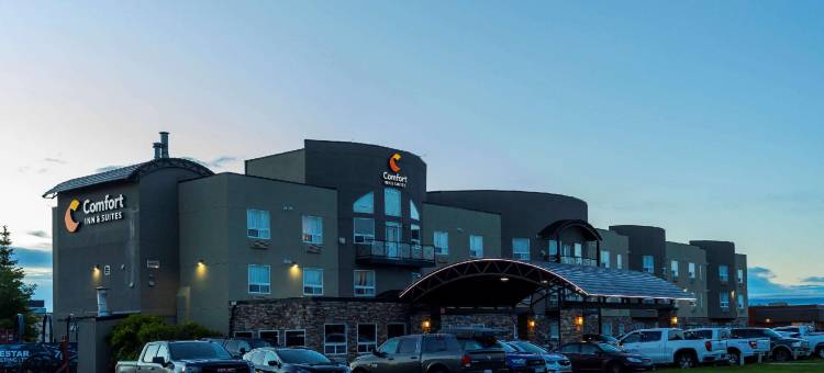 梅迪辛哈特舒适套房酒店(Comfort Inn & Suites)图片