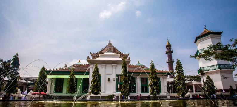 Dparagon 德维科拉(Dparagon Dwikora)图片