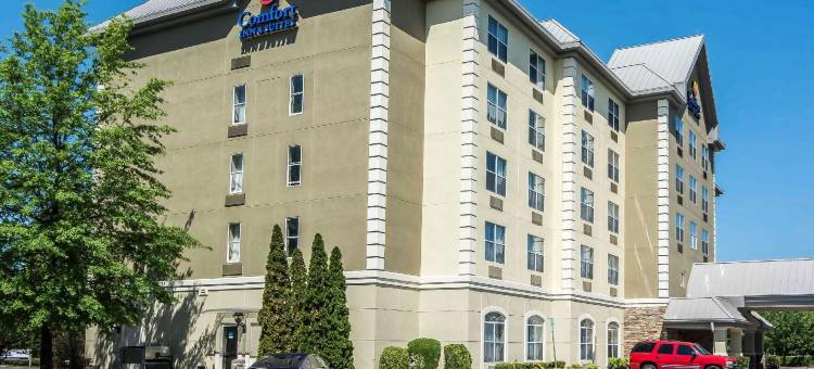 亚特兰大六旗江山酒店酒店(Comfort Inn & Suites Near Six Flags)图片