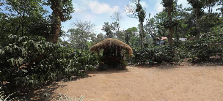 Itsy酒店贾玛班小屋(Itsy Hotels Jammabane Cottage)图片