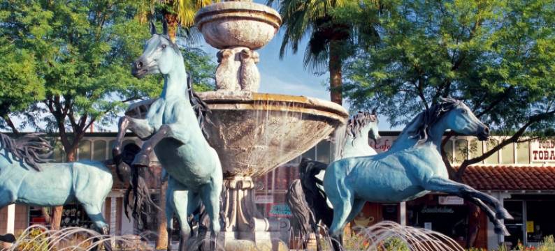 北斯科特斯德万豪SpringHill酒店(SpringHill Suites Scottsdale North)图片