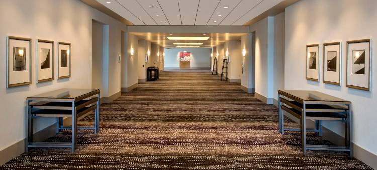 凯悦丽晶匹兹堡国际机场酒店(Hyatt Regency Pittsburgh Intl Airport)图片