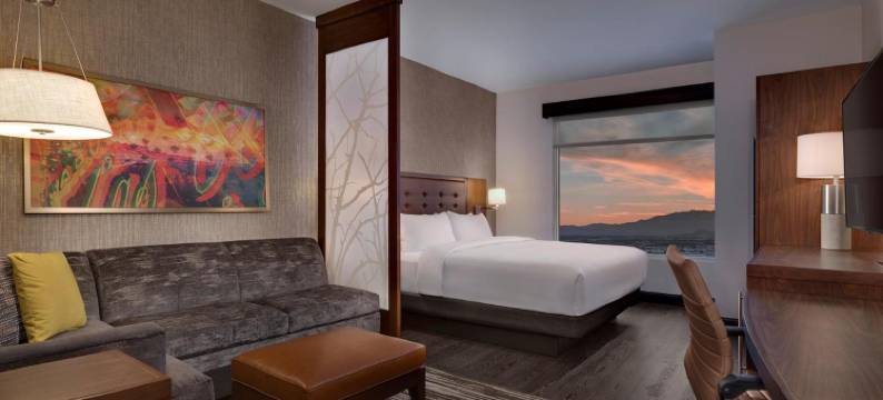 拉斯维加斯银顿村凯悦嘉轩酒店(Hyatt Place Las Vegas at Silverton Village)图片