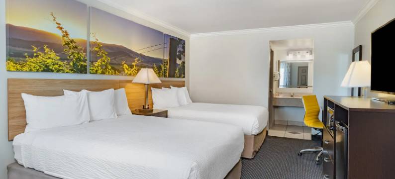 温尼马卡温德姆戴斯酒店(Days Inn by Wyndham Winnemucca)图片