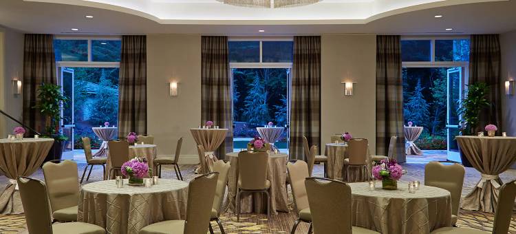 凯悦酒店亚特兰大周边克里斯蒂娜别墅(Hyatt Regency Atlanta Perimeter Villa Christina)图片