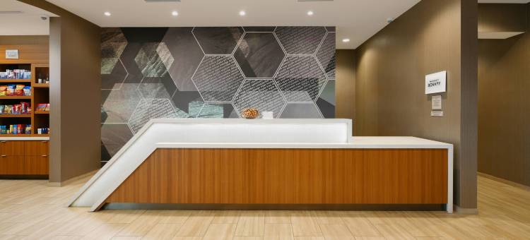 达拉斯DFW机场南中心港万豪SpringHill Suites酒店(SpringHill Suites Dallas DFW Airport South/CentrePort)图片