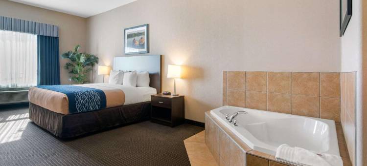 舒适套房酒店(Comfort Inn & Suites)图片