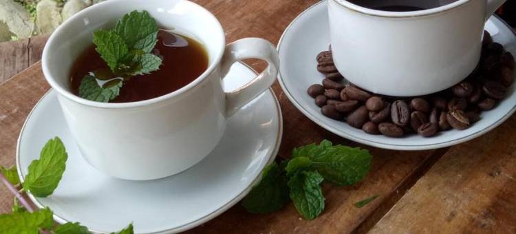 Azalea Garden Homestay图片