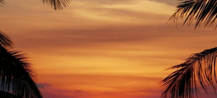 马林德潜水生态度假村(Marind Dive Eco Resort)图片