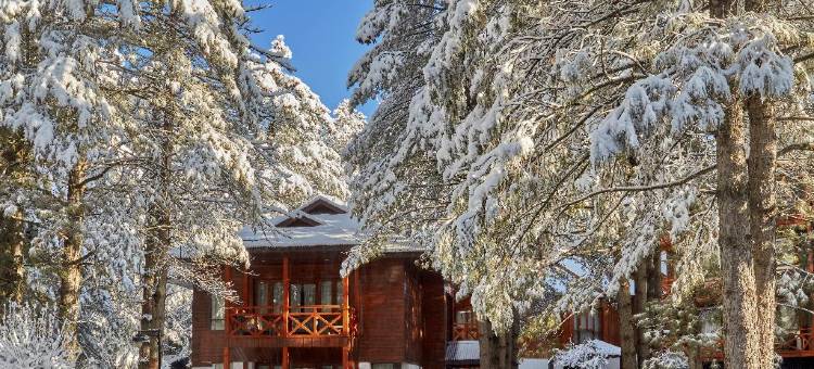 帕哈甘松峰欢迎酒店(Welcomhotel by ITC Hotels, Pine N Peak, Pahalgam)图片