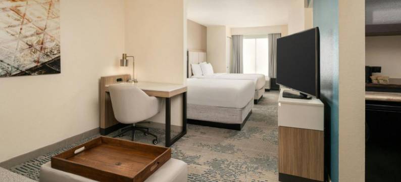 坦帕西岸机场万豪SpringHill酒店(SpringHill Suites Tampa Westshore Airport)图片