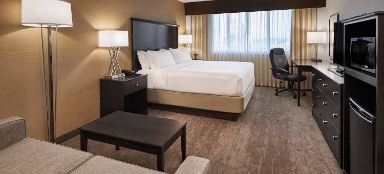 亚历山德里亚凯雷假日酒店(Holiday Inn Alexandria - Carlyle)图片