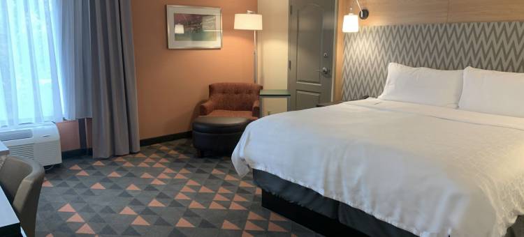 Holiday Inn 阿什维尔 - 比尔特莫尔西(Holiday Inn Asheville - Biltmore West)图片
