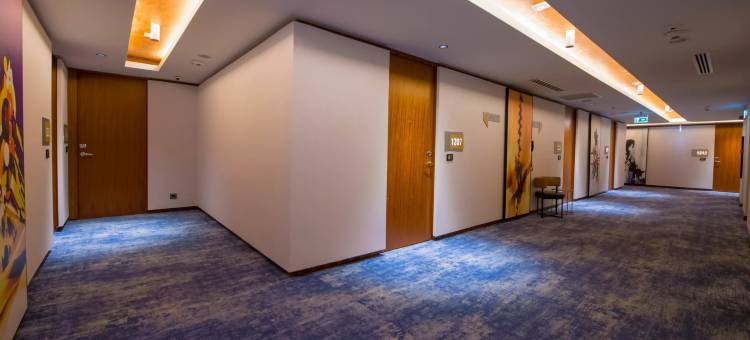 凯瑟里皇冠假日酒店(Crowne Plaza Kayseri)图片