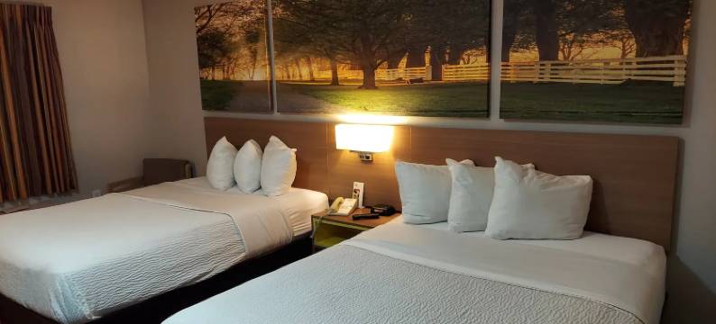 温德姆戴斯套房酒店-亨茨维尔太空中心(Days Inn & Suites by Wyndham Huntsville)图片