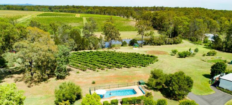 麦卡弗里庄园酒店(McCaffrey's Estate)图片