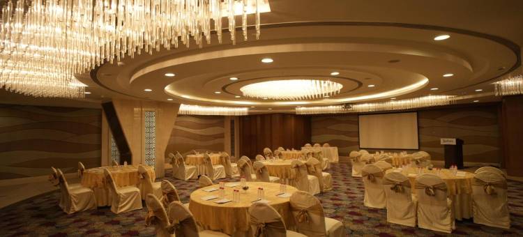 乌代布尔丽筠酒店(Radisson Udaipur)图片