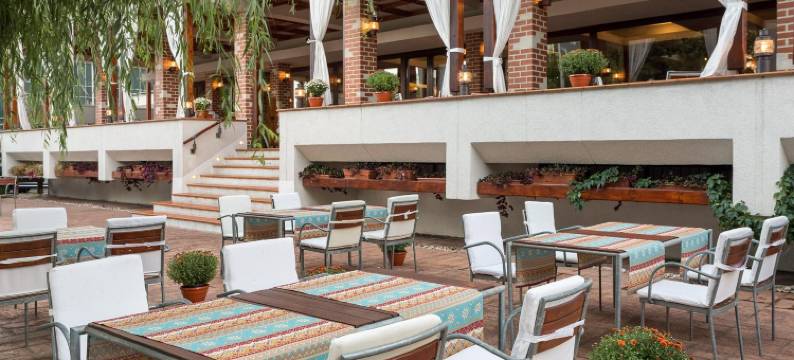 温德姆华美达布加勒斯特公园酒店(Ramada by Wyndham Bucharest Parc)图片