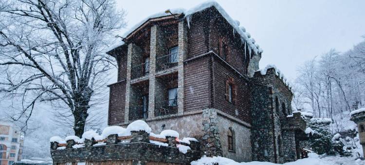 尤里卡酒店(Fort Evrika Hotel)图片