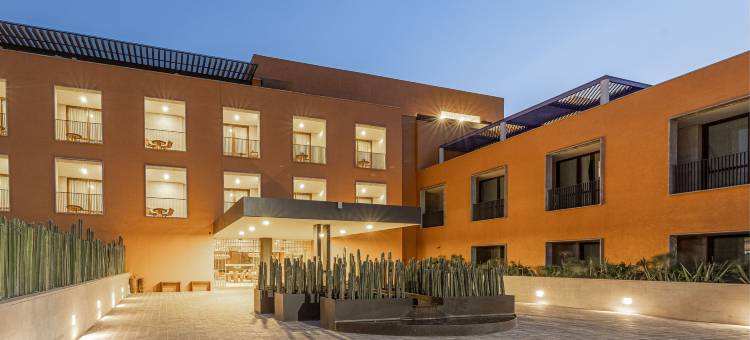 克莱维亚，圣米格尔-德阿连德，傲途格精选(Cleviá, Autograph Collection, San Miguel de Allende)图片