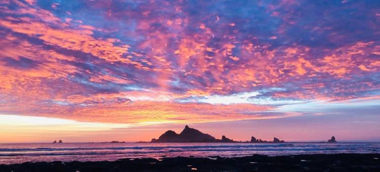 海滨旅馆(Beachside Inn)图片