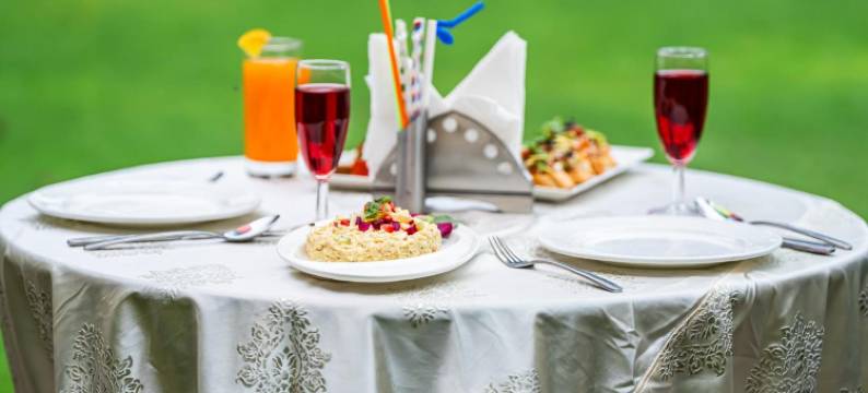 The Marwar Hotel & Gardens图片