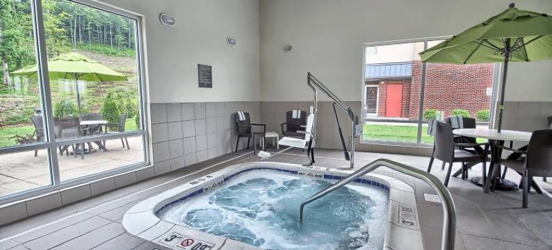 马利耶塔派克斯伯格市舒适套房酒店(Comfort Suites Marietta-Parkersburg)图片