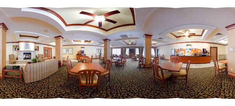 智选假日套房酒店罗克福德，爱园 by IHG(Holiday Inn Express & Suites Rockford-Loves Park)图片