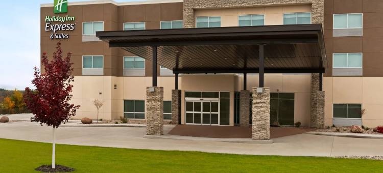 比弗丹智选假日套房酒店(Holiday Inn Express & Suites Beaver DAM)图片