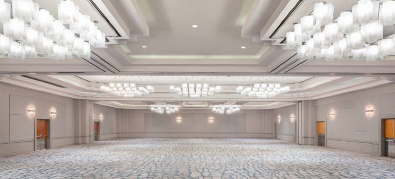 亚特兰大巴克海区特威斯汀酒店(The Westin Buckhead Atlanta)图片