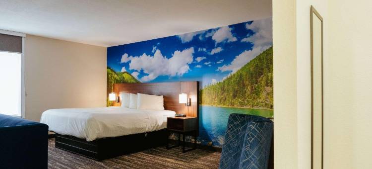 迪拉德克拉丽奥波恩特酒店 - 近蓝岭山脉(Clarion Pointe-Dillard Near Blue Ridge Mountains)图片