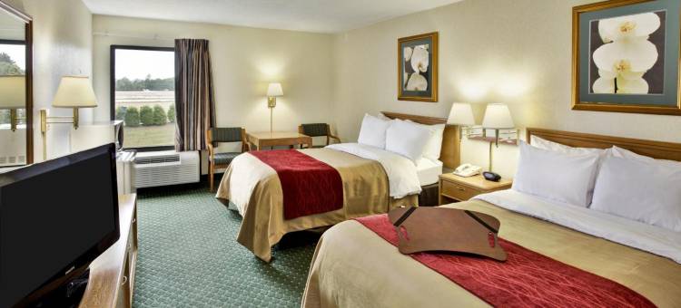 里士满南切斯特舒适酒店(Comfort Inn Chester - Richmond South)图片