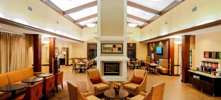 北坦帕希尔顿欢朋旅馆&套房酒店(Hampton Inn & Suites Tampa-North)图片