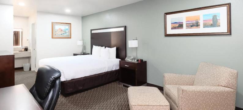 霍尔布鲁克品质酒店近化石森林(Quality Inn Holbrook Near Petrified Forest)图片