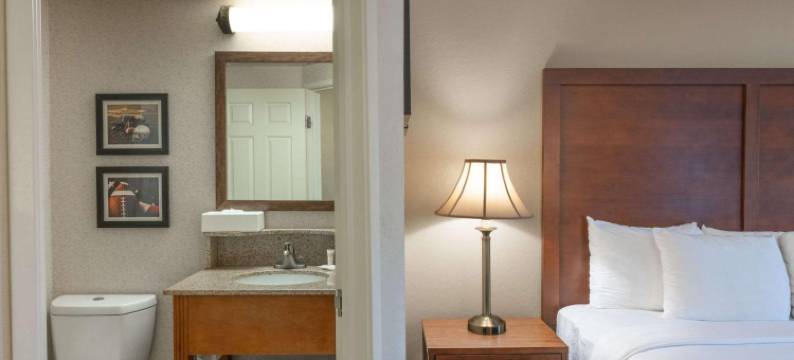 美茵斯坦套房酒店福克斯波罗-曼斯菲尔德(MainStay Suites Foxboro - Mansfield)图片