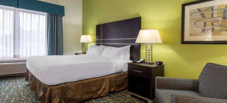 萨凡纳南部 I-95 智选假日酒店(Holiday Inn SAVANNAH S - I-95 GATEWAY by IHG)图片