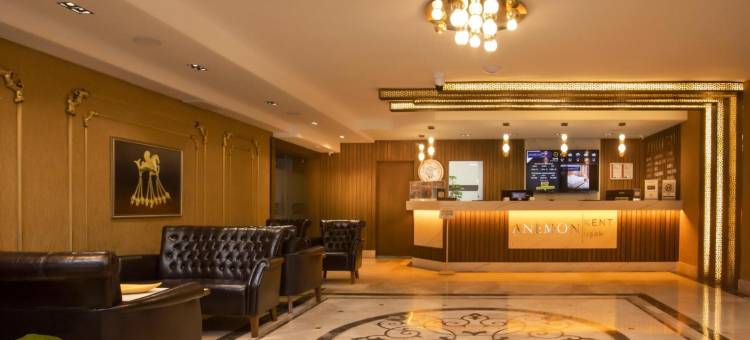 安纳蒙乌萨克酒店(Anemon Kent Uşak Hotel)图片