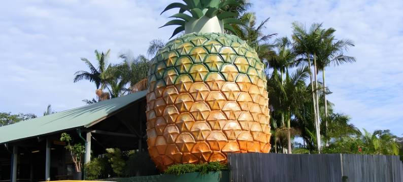 南博高地汽车旅馆(Nambour Heights Motel)图片