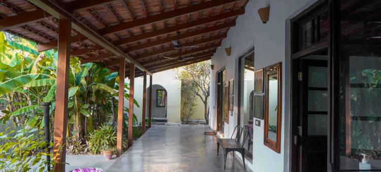 马胡阿托拉塔多巴(Mahua Tola Tadoba)图片