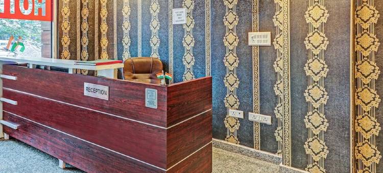 Treebo Silver Stallion图片