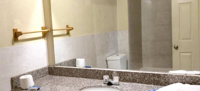 科尔庄园汽车旅馆 OYO 爱田市场中心(Cole Manor Motel By Oyo Love Field Market Center)图片