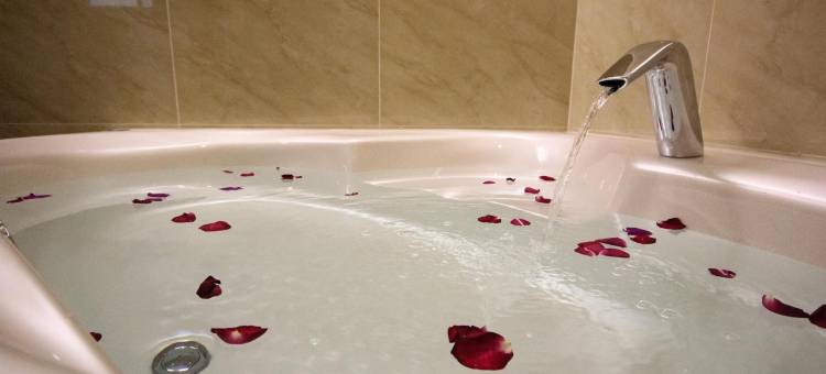 金沙商务旅馆图片