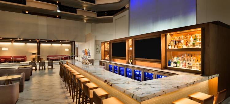 凤凰城市中心希尔顿安泊酒店(Embassy Suites by Hilton Phoenix Downtown North)图片