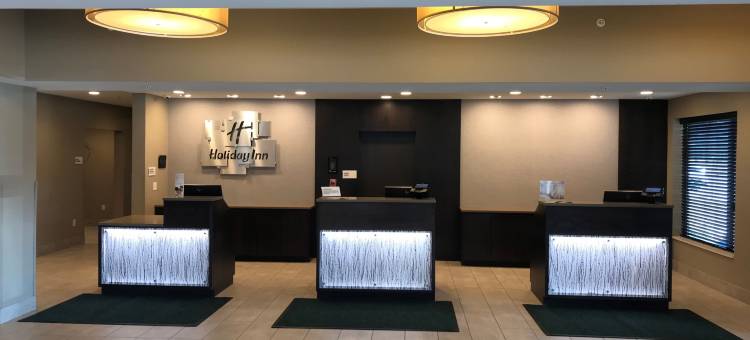 芝加哥-绍姆堡假日酒店(Holiday Inn Chicago - Schaumburg)图片