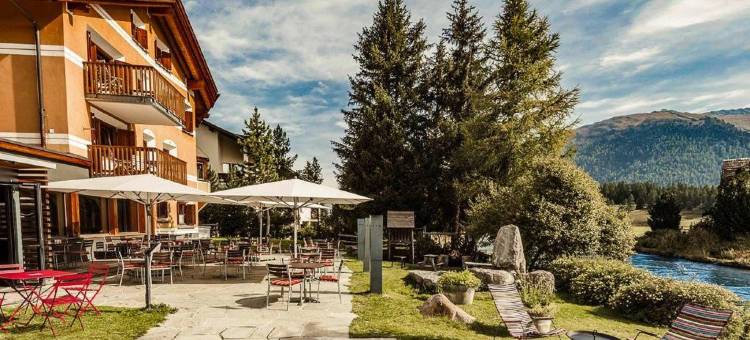 凯萨罗萨兹酒店 - 食物之家(Hotel Chesa Rosatsch - Home of Food)图片