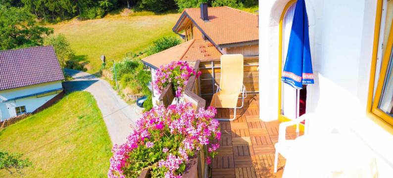 巴斯勒尔霍夫乡村酒店(Landhotel Basler Hof)图片